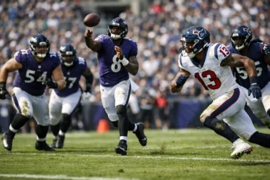 Baltimore Ravens vs Texans Match Player Stats Today